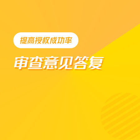 审查意见答复