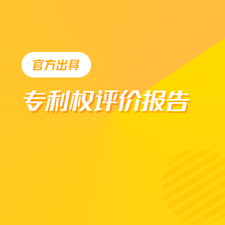 专利权评估报告